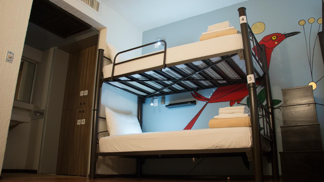 Hostel Fenix Beds
