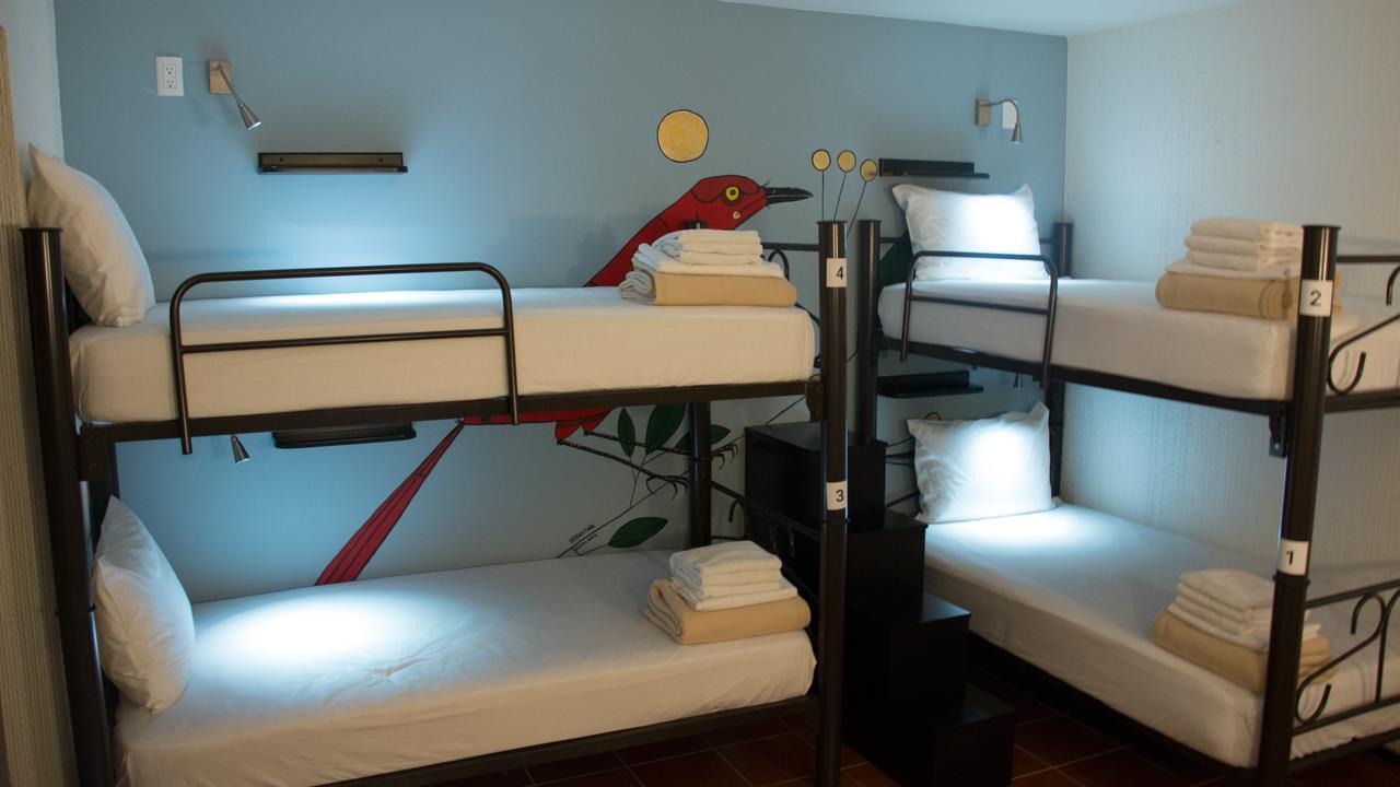 Fenix Beds Hostel *