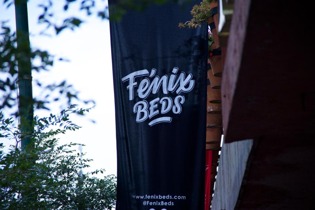 Fenix Beds Hostel
