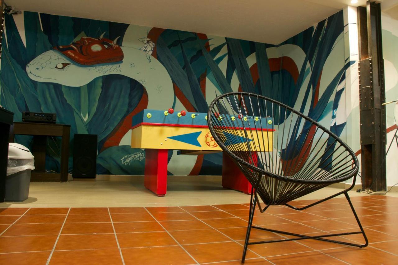 Hostel Fenix Beds