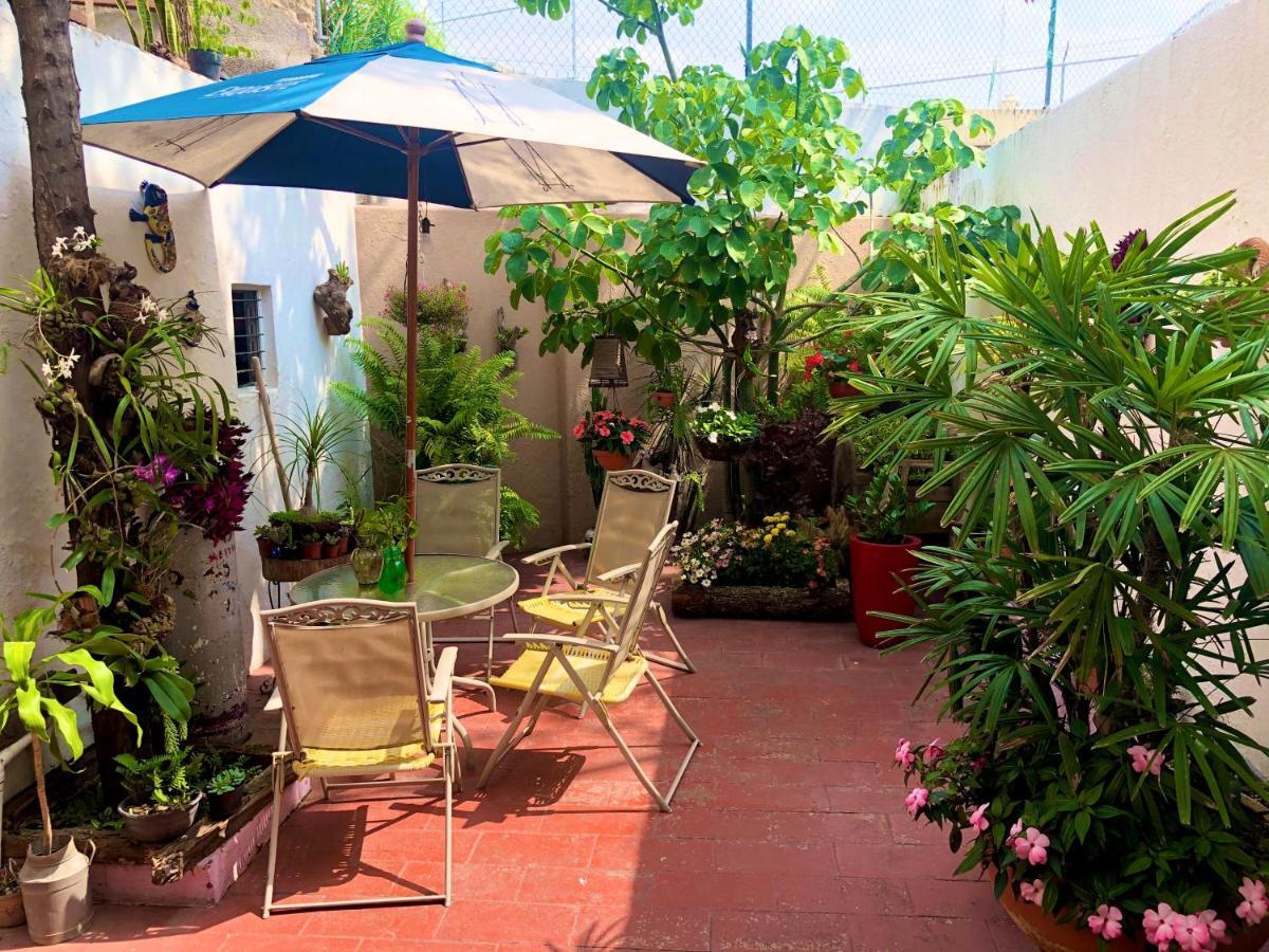 Casa La Minerva Homestay *