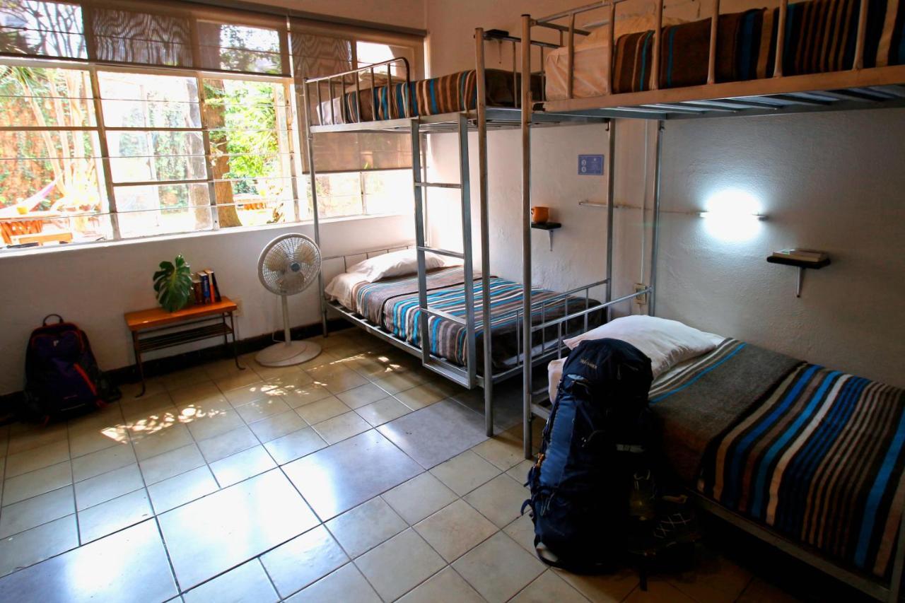 Hostel Hospedarte Chapultepec *