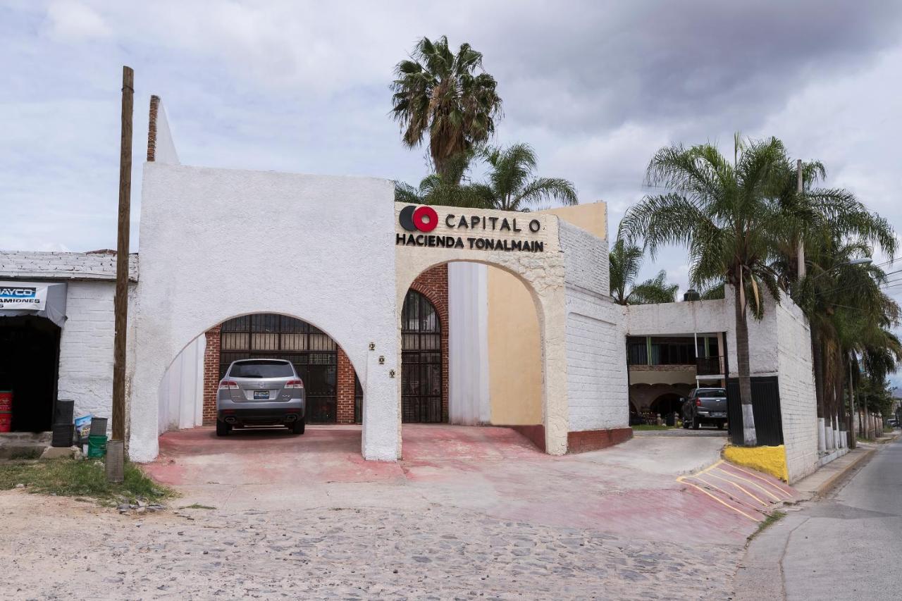 Hacienda Tonalmain, Nueva Guadalajara
