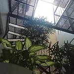 Hotel Hcm Guadalajara