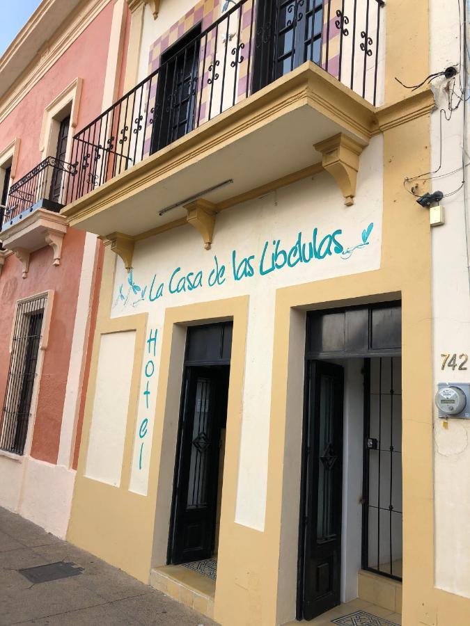 La Casa De Libelulas Guadalajara