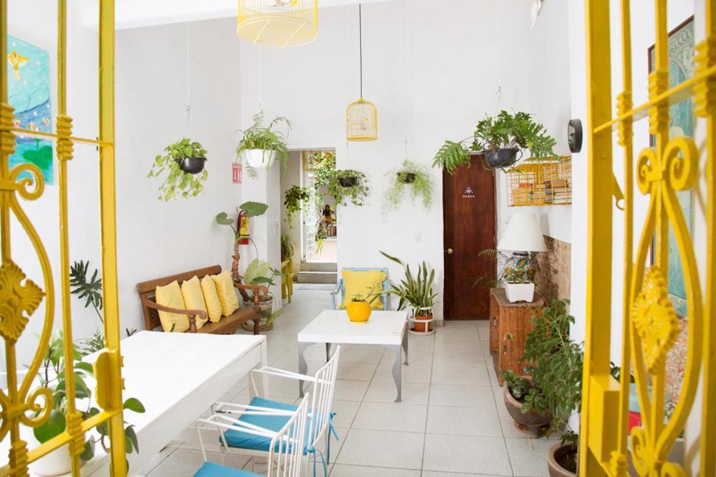 Casa Canario Hostel *