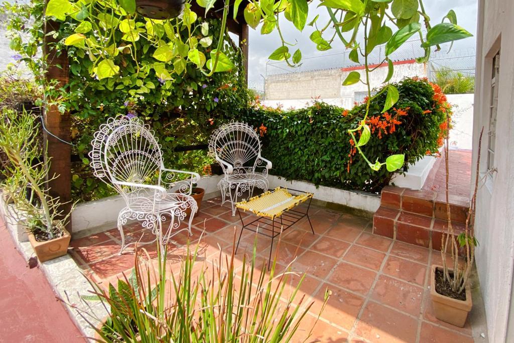 Casa Canario Hostel