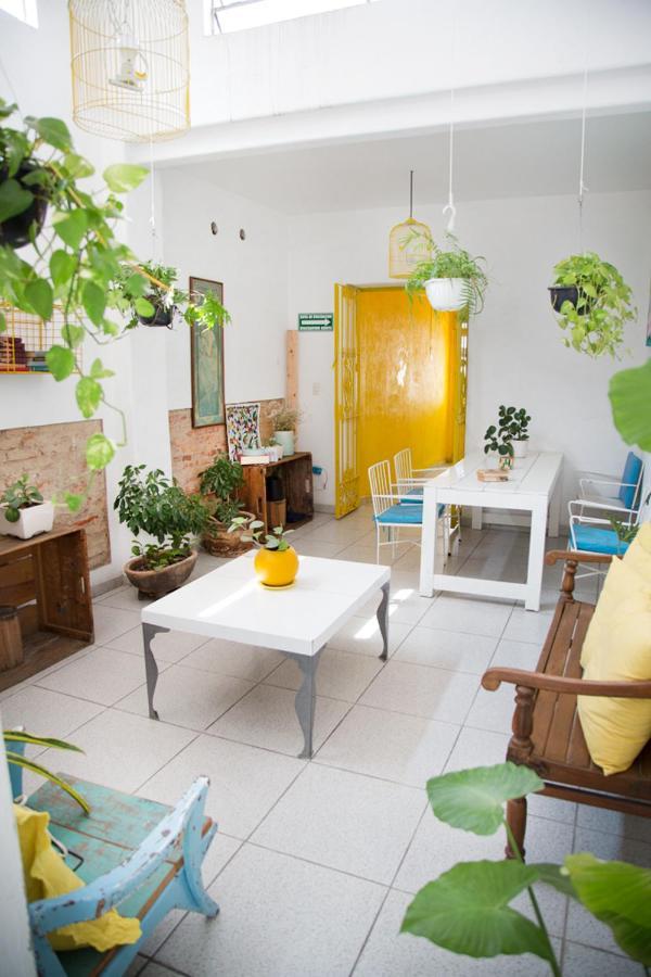 Hostel Casa Canario Guadalajara