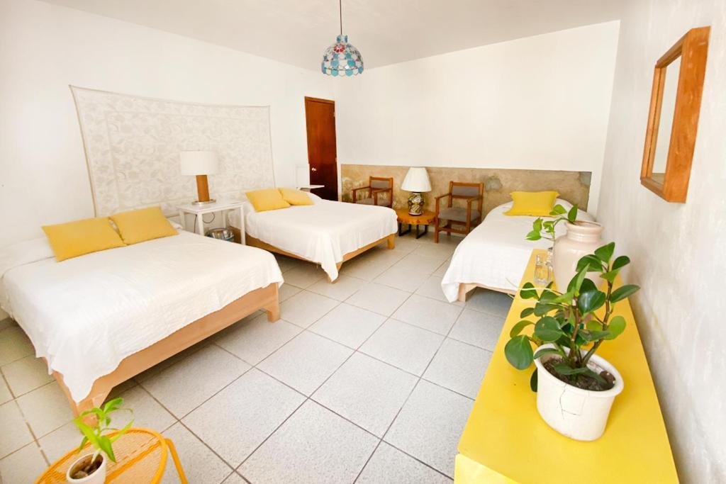 Hostel Casa Canario