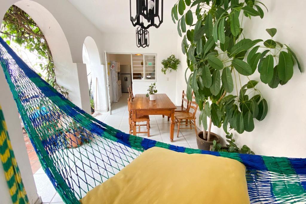 Hostel Casa Canario
