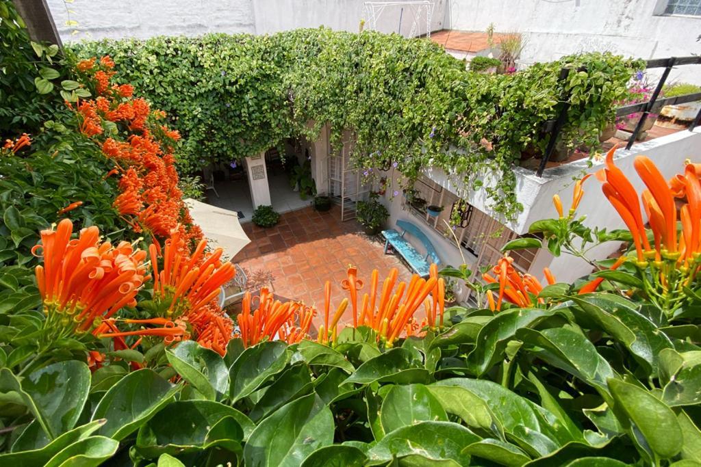 Hostel Casa Canario