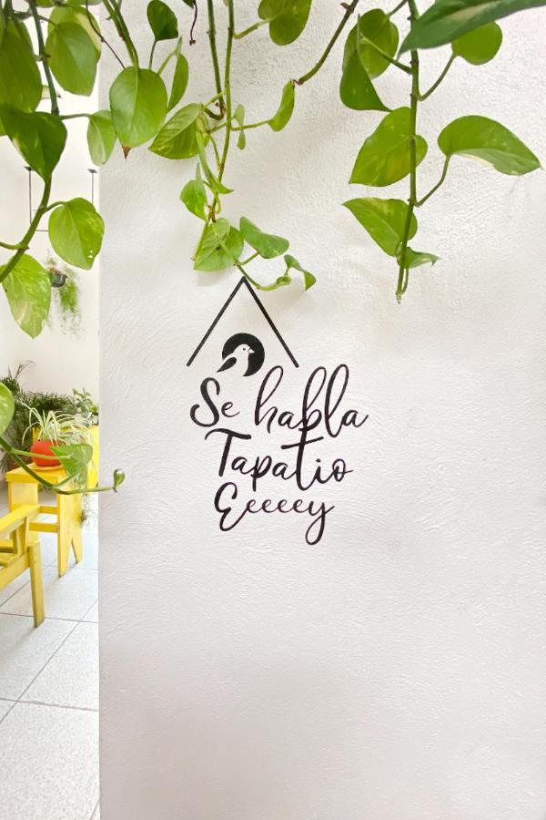 Casa Canario Hostel Guadalajara