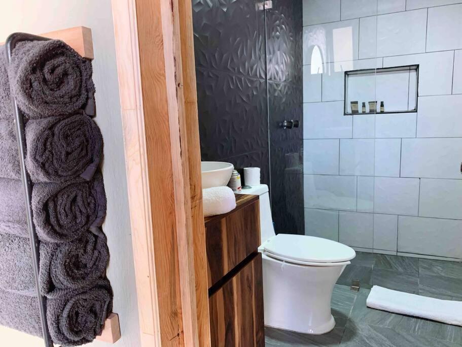 Begonias Loft Guadalajara
