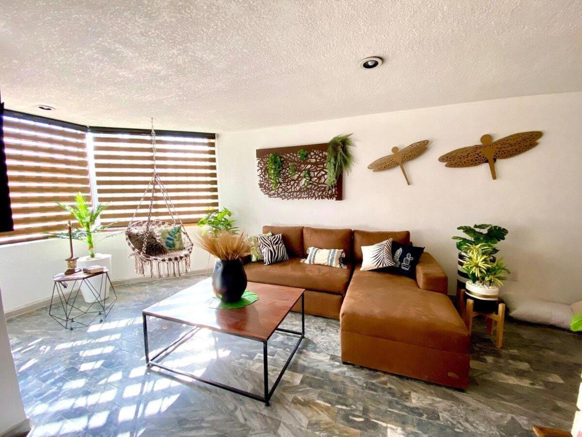 Apartment Planta Baja Enorme, Jardin, Parking, Hasta 11 Pax *