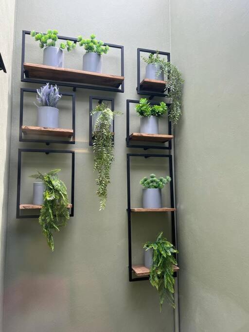 Casa Familiar Con Alberca Privada Climatizada Pousada