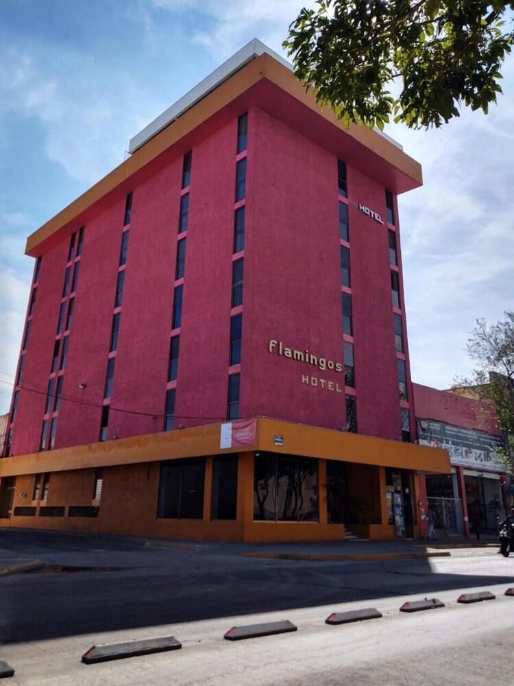 Flamingos 3* Guadalajara