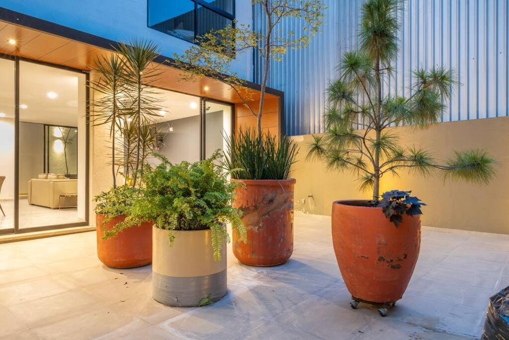 Apartment Amazing View With Roofgarden Guadalajara