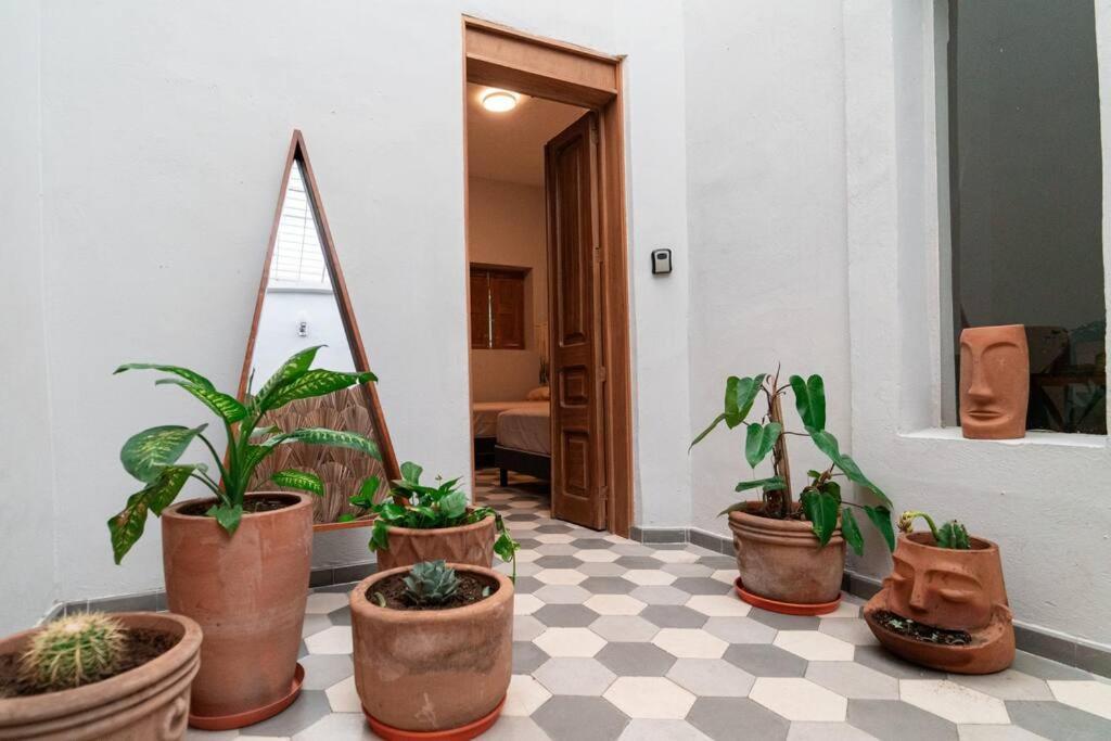 Holiday home Casa Del Desierto *
