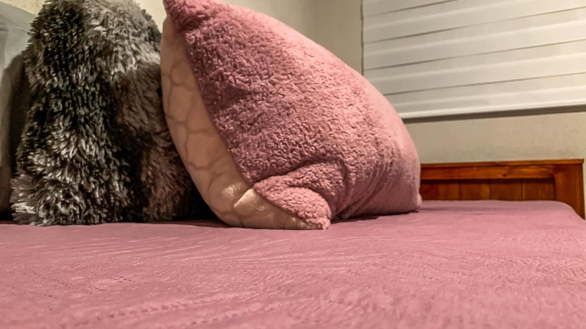 Departamento Privado En El Corazon De Apartamento *