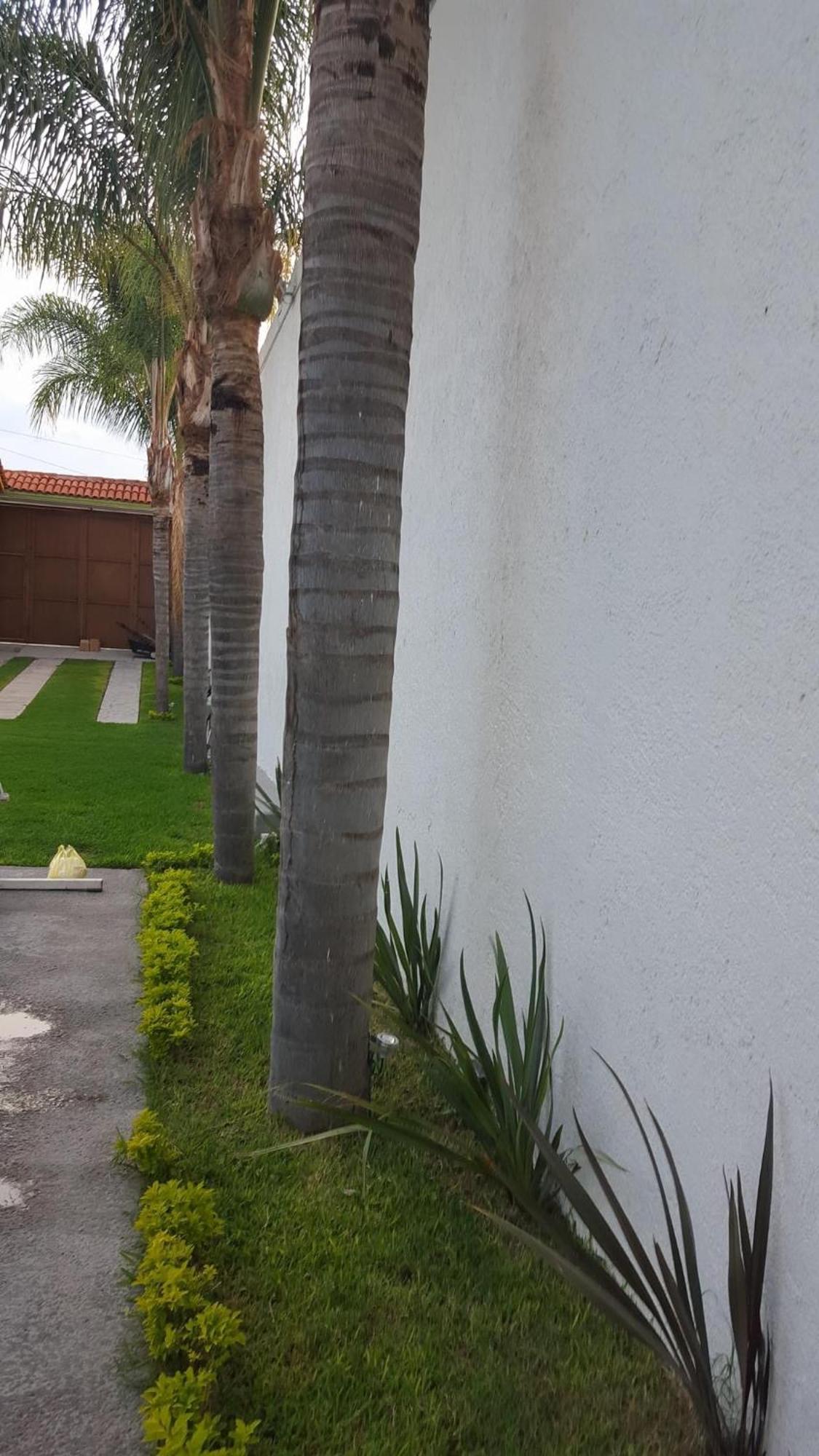 Terraza Gardenia Guadalajara