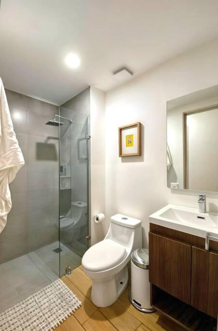 Apartment Acogedor 2br, Fast Wifi, Elegante, Centrico