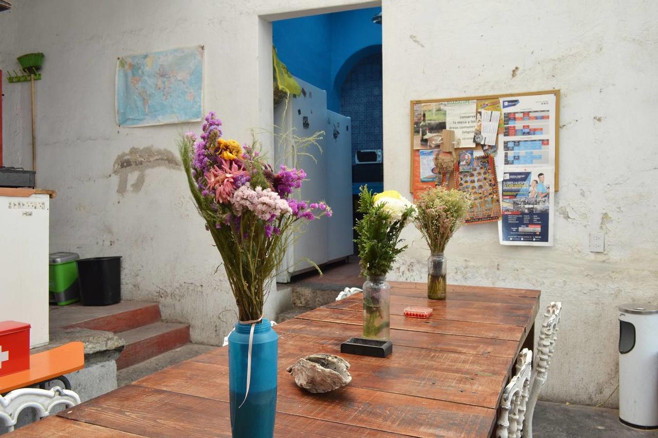 Casa Guadalupe Gdl