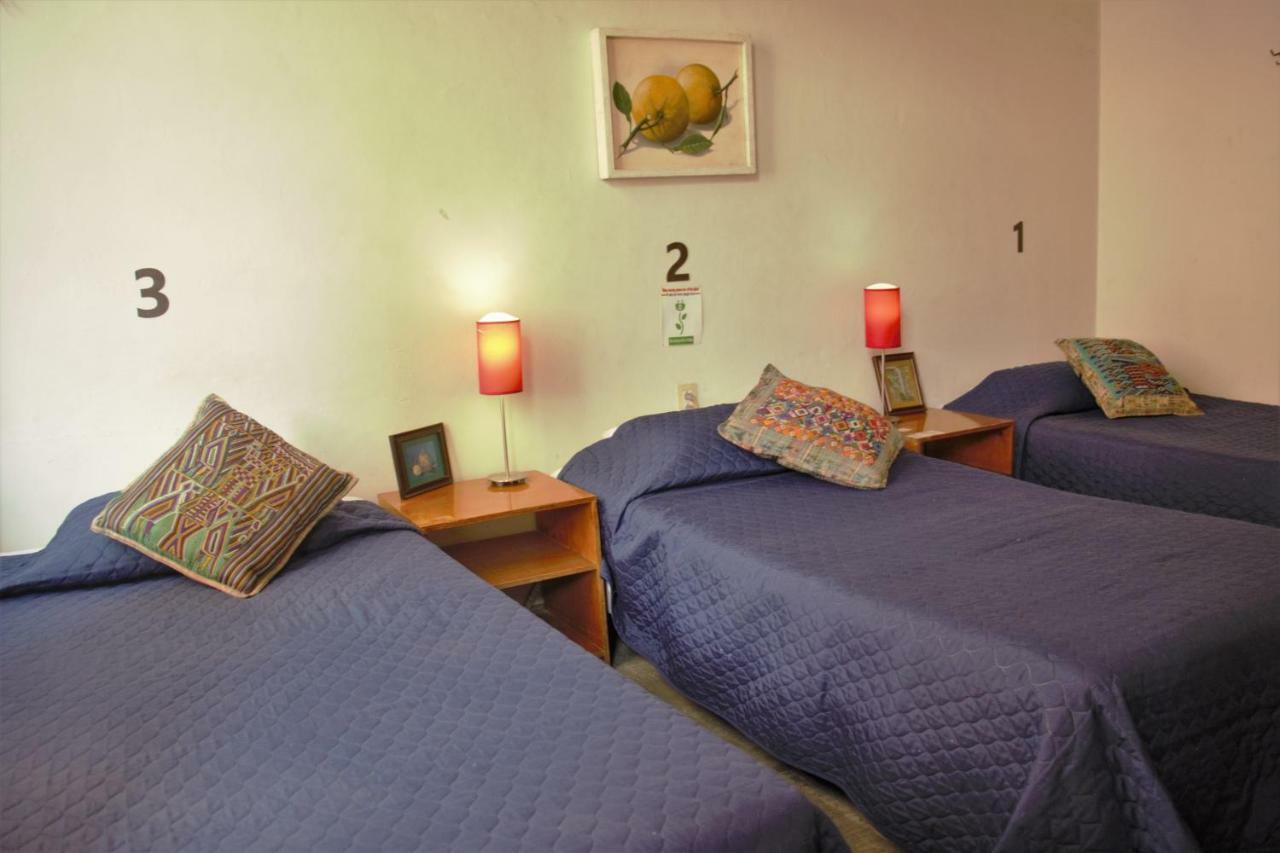 Hostel Lit