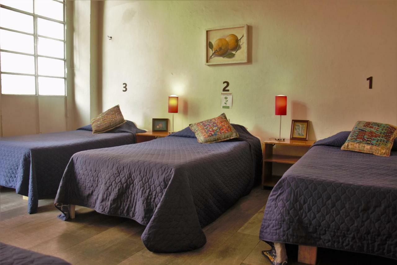Lit Hostel