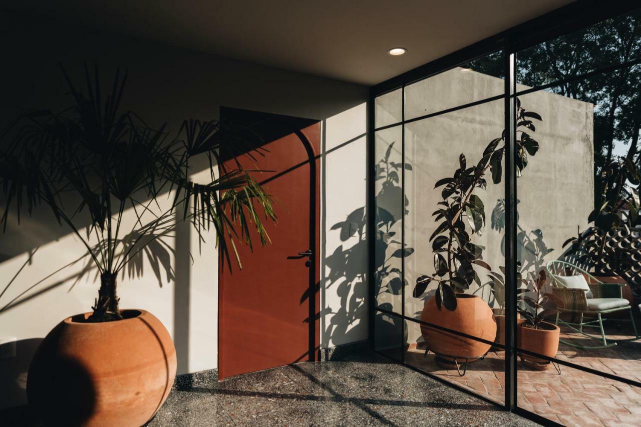 Casa Ixaya By Barrio Mexico 3* Guadalajara