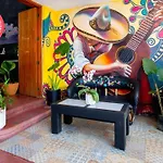 Hostal La Paz & Love Guadalajara