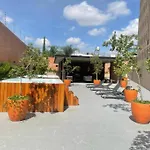 Hermoso Departamento En El Corazon De Guadalajara