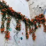 Casita Hostel