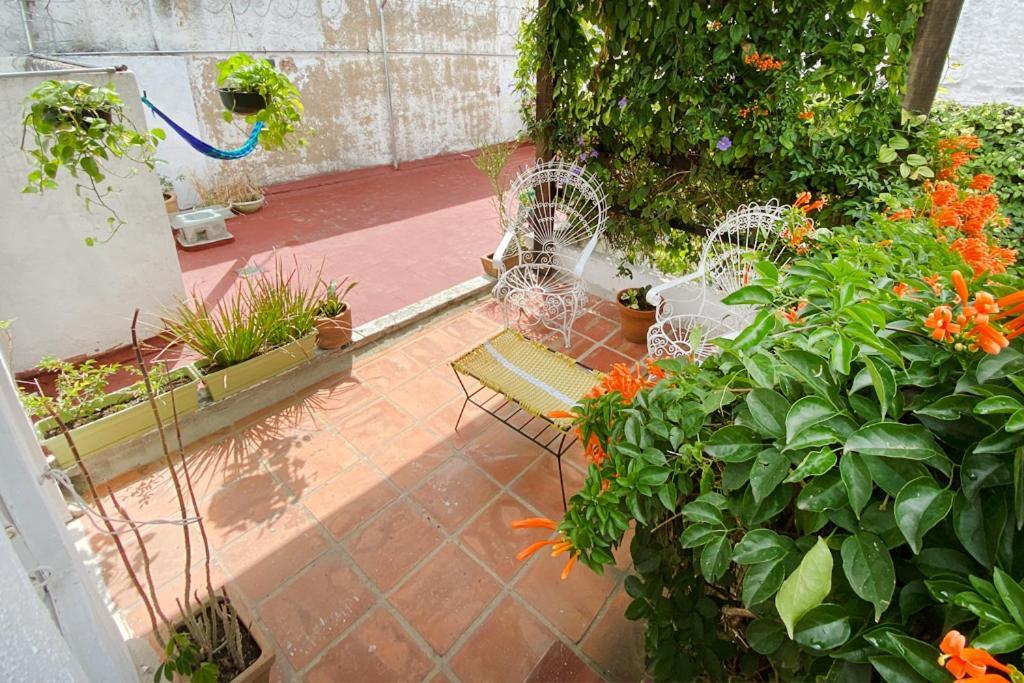 Casa Canario Hostel *