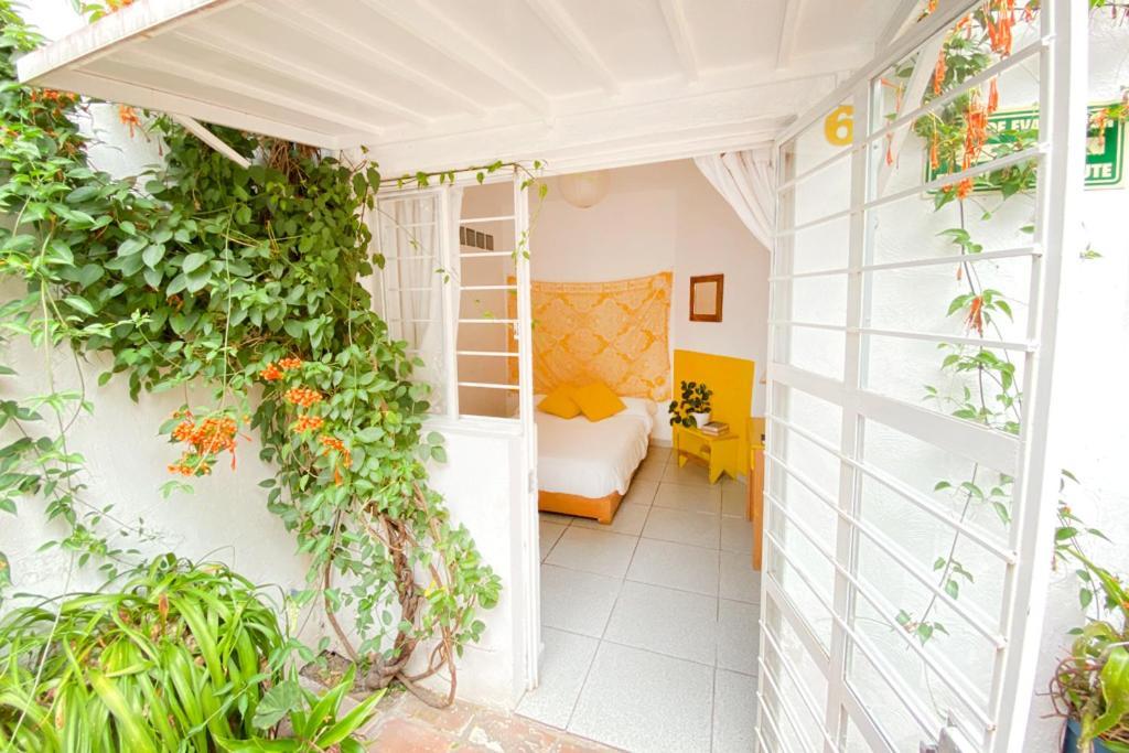 Casa Canario