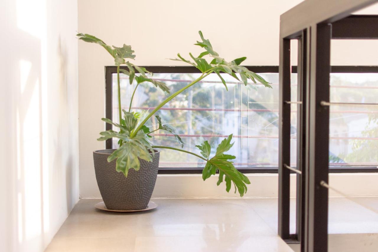 Apartamento Lofts Santa Fe