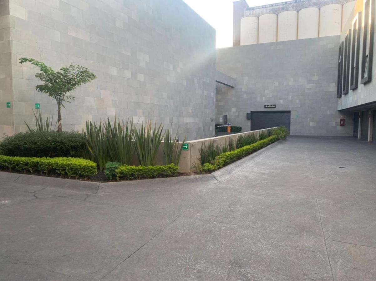 Pedregal