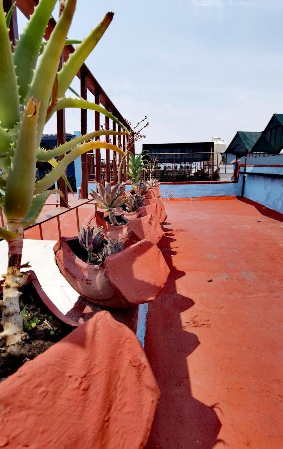 The Roof Backpackers 2* Guadalajara