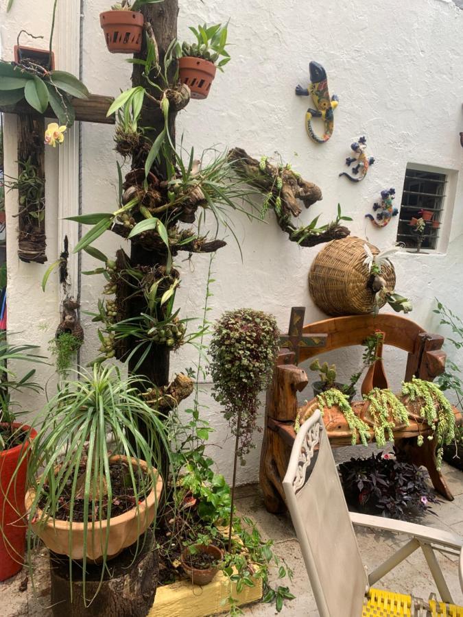 A Cuadra De La Minerva Habitación en casa particular Guadalajara