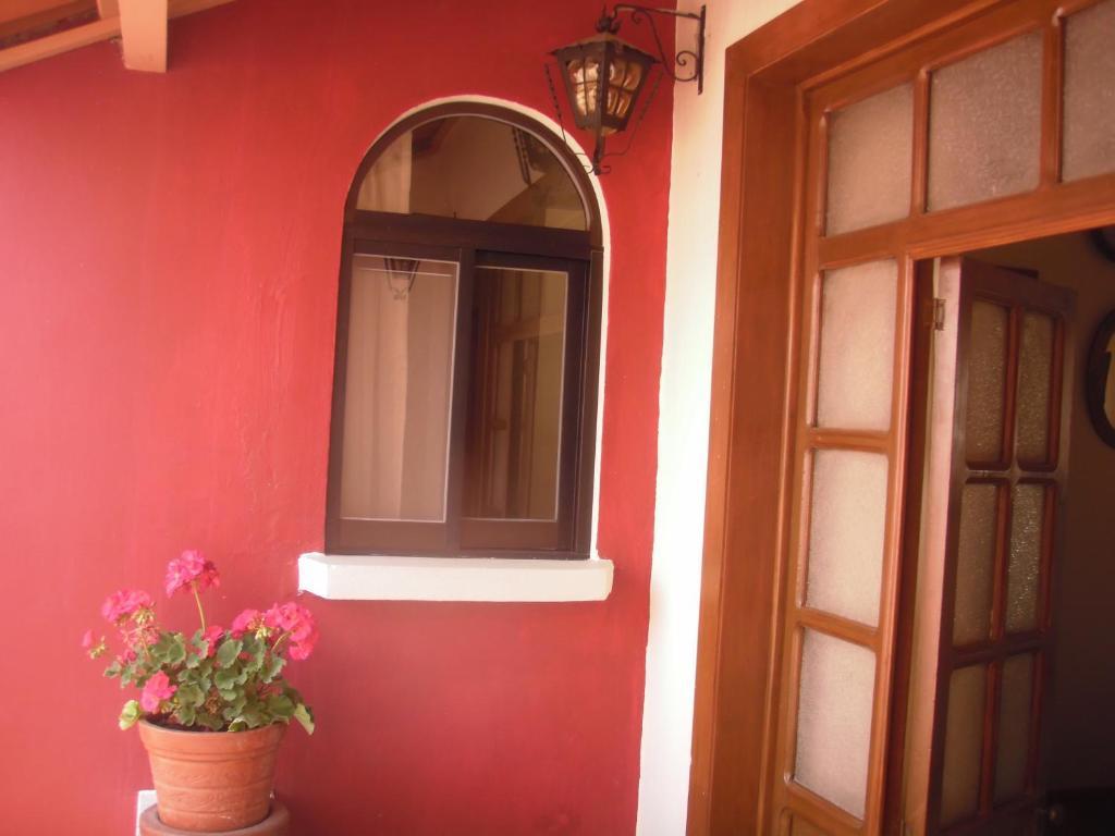 Olga Querida Hostel *