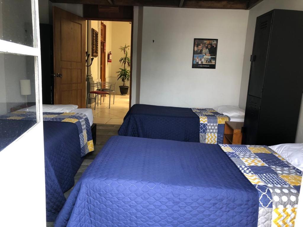 Lit Hostel *