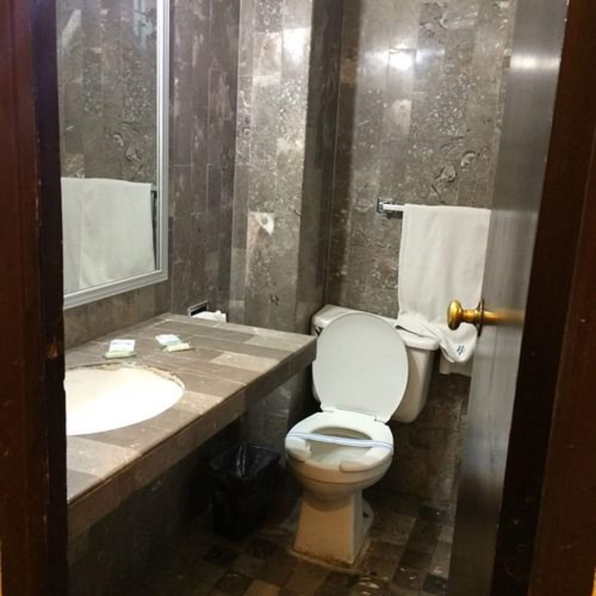 Hotel Del Parque Guadalajara