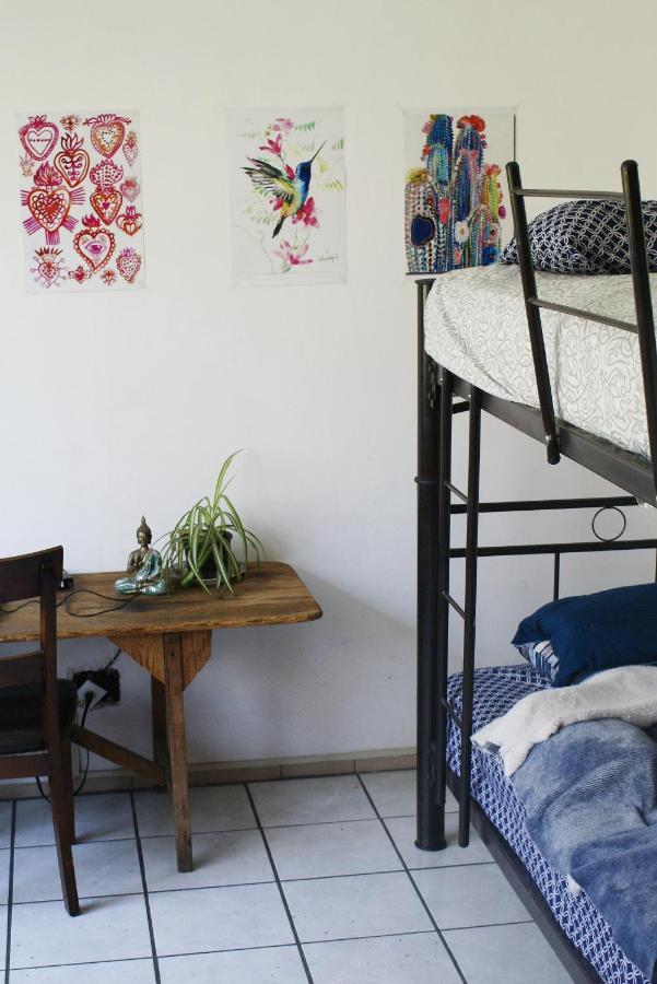 Free Spirit Hostel Guadalajara Guadalajara