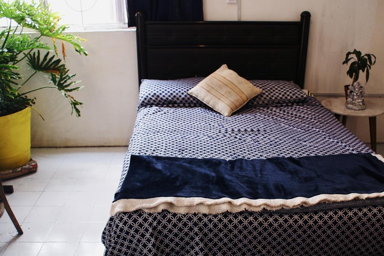 Free Spirit Hostel Guadalajara * Guadalajara