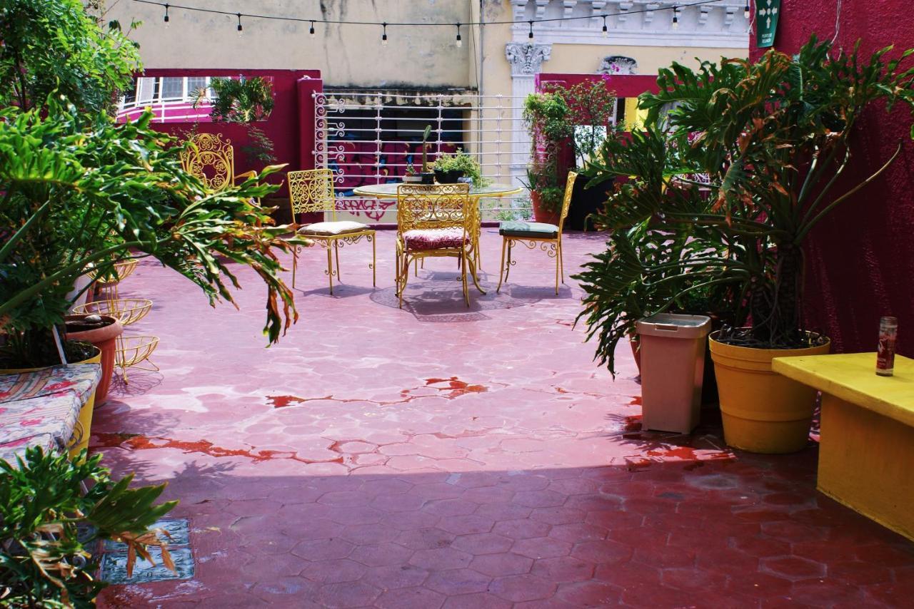 Free Spirit Hostel Guadalajara Hostel Guadalajara