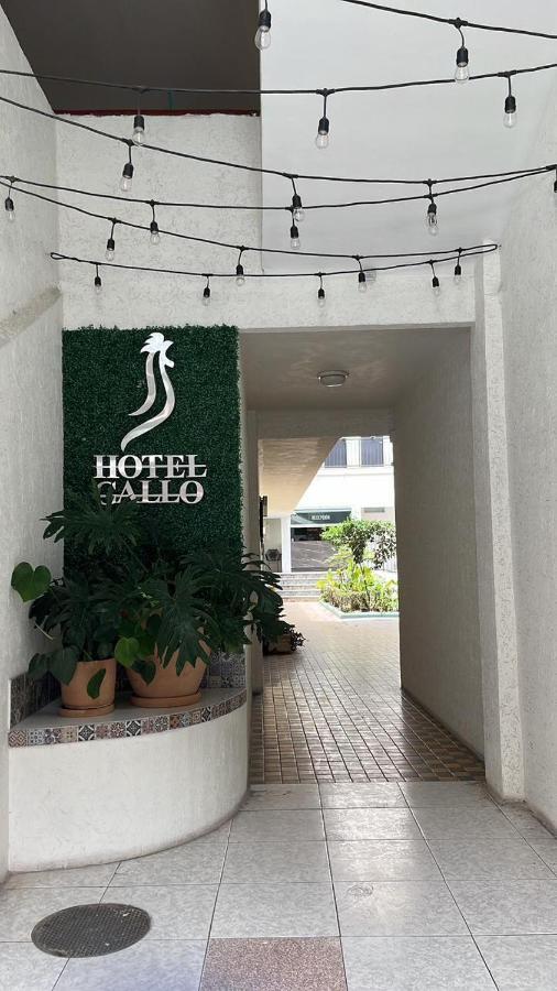 Gallo Hotel Guadalajara