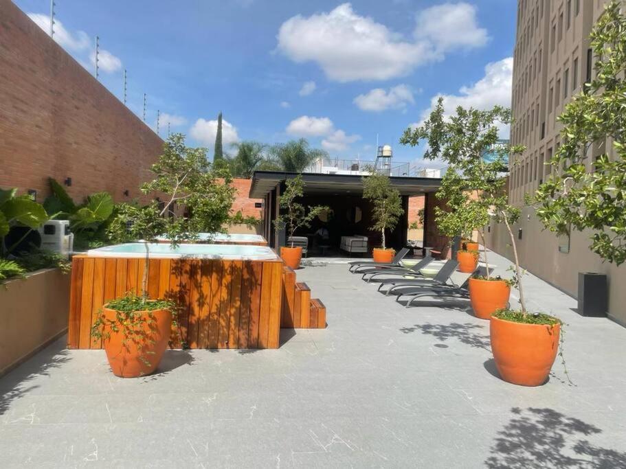 Hermoso Departamento En El Corazon De Guadalajara