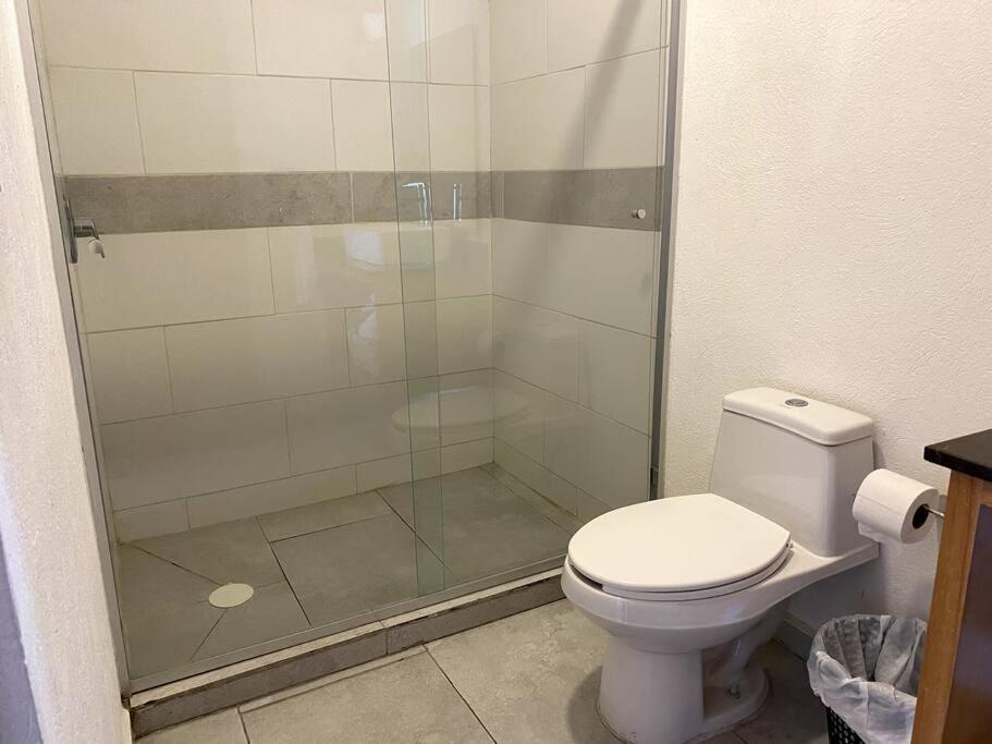 Chapultepec Habitance Pool, Parking, Speed Wifi *