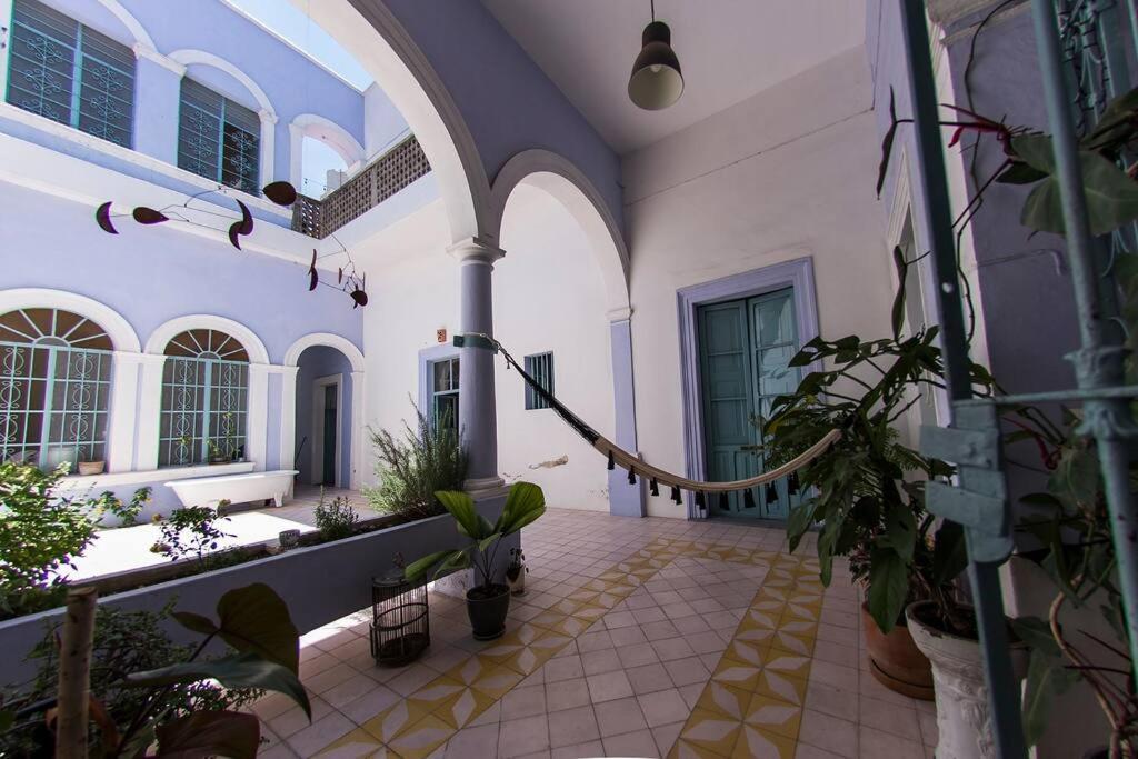 Hermoso Departamento En El Centro De Apartment