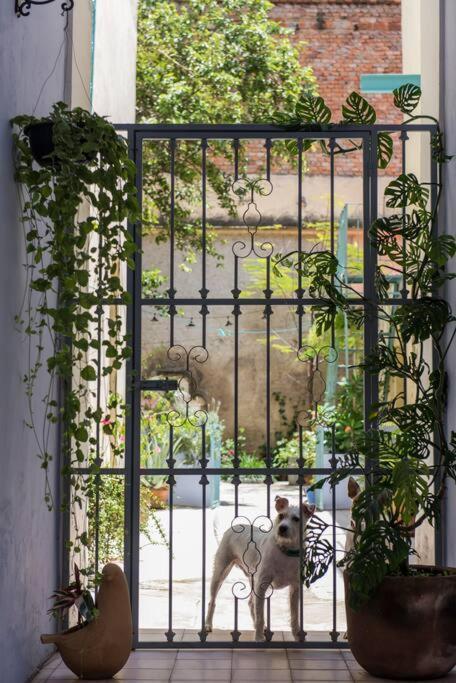 Hermoso Departamento En El Centro De * Guadalajara