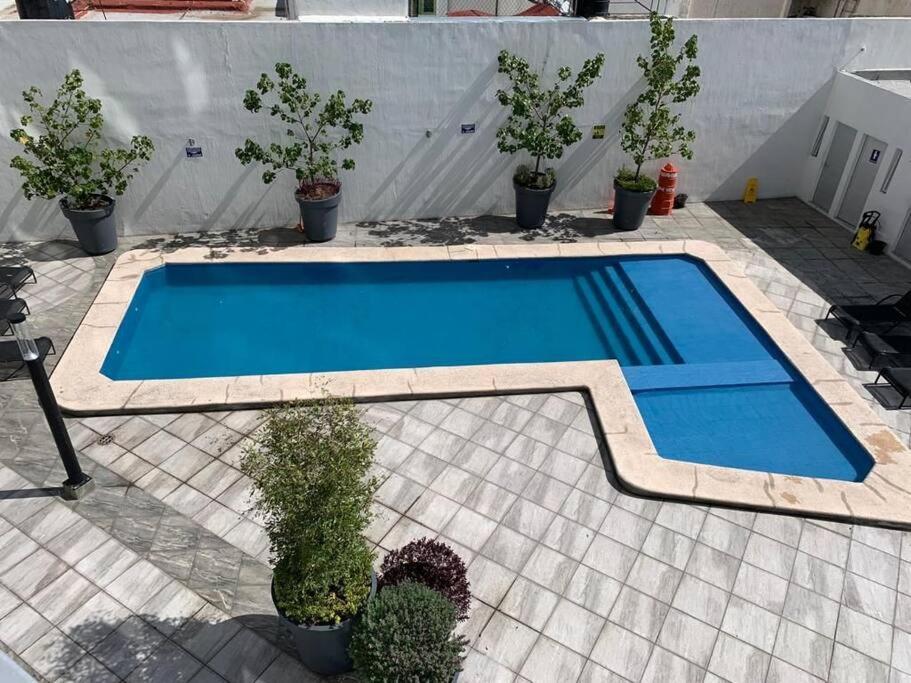 Nuevo Y Amplio Departamento Con Alberca Y Seguridad En El Centro De Apartment *